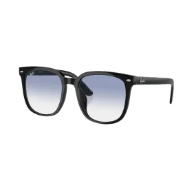 Black RB4401 Sunglasses