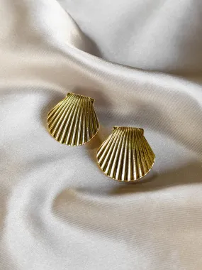 Seashell Earrings